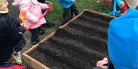 Dzieci sieją nasionka w ogródkach grupowych