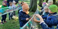 Dzieci i rodzice malują farbami po foli owiniętej wokół drzew
