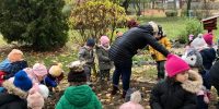 Dzieci i prowadząca warsztaty szukają w ogrodzie przedszkolnym jeży