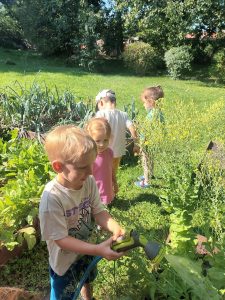 dzieci podlewają warzywa
